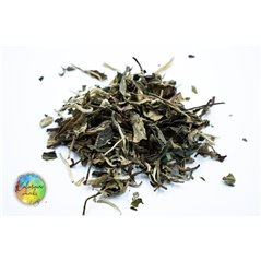 Pai Mu Tan | biała herbata liściasta
